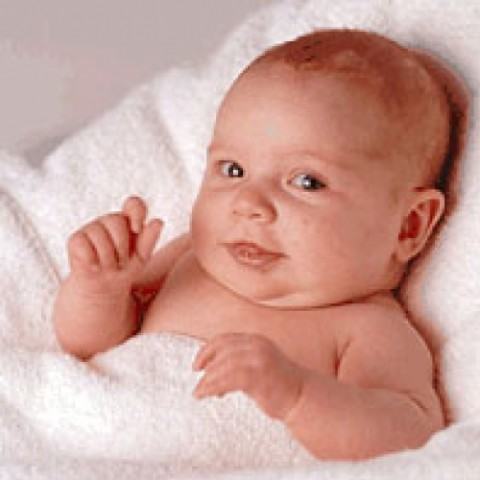 bebe