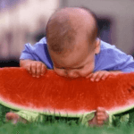 las-mejores-fotos-graciosas-de-bebes-2